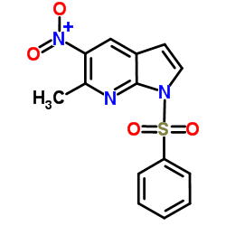 1-(Phenylsulphonyl)-6-Methyl-5-nitro-7-azaindole picture