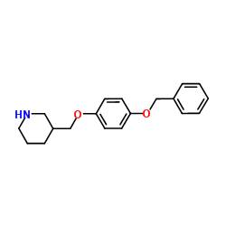 3-{[4-(Benzyloxy)phenoxy]methyl}piperidine Structure