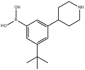 3-(Piperidin-4-yl)-5-(tert-butyl)phenylboronic acid结构式