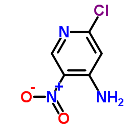 2-Chloro-5-nitropyridin-4-amine picture