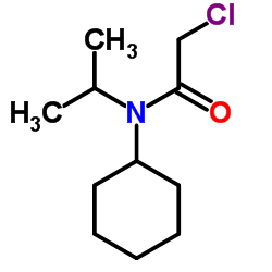 2-CHLORO-N-CYCLOHEXYL-N-ISOPROPYL-ACETAMIDE结构式