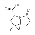 5H-Cyclopropa[g]pyrrolizine-3-carboxylicacid,hexahydro-5-oxo-,(1aR,3R,7aS)-(9CI) Structure