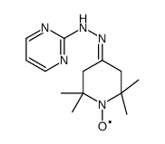 N-[(1-λ1-oxidanyl-2,2,6,6-tetramethylpiperidin-4-ylidene)amino]pyrimidin-2-amine Structure