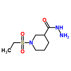 1-ETHANESULFONYL-PIPERIDINE-3-CARBOXYLIC ACID HYDRAZIDE picture