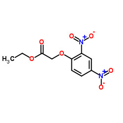 Ethyl (2,4-dinitrophenoxy)acetate结构式