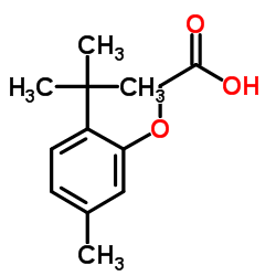 (2-tert-butyl-5-methylphenoxy)acetic acid Structure