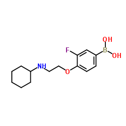 (4-(2-(cyclohexylamino)ethoxy)-3-fluorophenyl)boronic acid picture