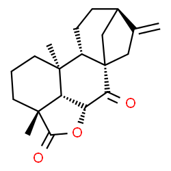 6α-Hydroxy-7-oxokaura-16-ene-18-oic acid lactone structure