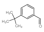 3-Tert-Butylbenzaldehyde Structure