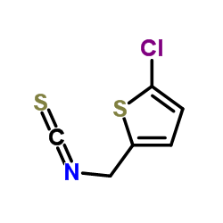 2-Chloro-5-(isothiocyanatomethyl)thiophene结构式