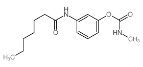 [3-(heptanoylamino)phenyl] N-methylcarbamate structure
