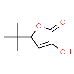 2(5H)-Furanone, 5-(1,1-dimethylethyl)-3-hydroxy- (9CI)结构式
