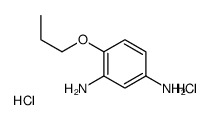 4-propoxybenzene-1,3-diamine,dihydrochloride结构式