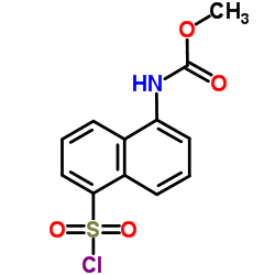 (5-CHLOROSULFONYL-NAPHTHALEN-1-YL)-CARBAMIC ACID METHYL ESTER structure