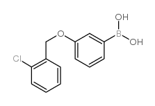 3-(2'-CHLOROBENZYLOXY)PHENYLBORONIC ACID structure