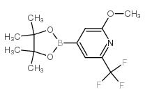 2-Methoxy-4-(4,4,5,5-tetramethyl-1,3,2-dioxaborolan-2-yl)-6-(trifluoromethyl)pyridine picture