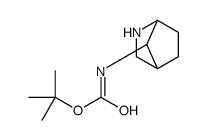 N-{2-氮杂双环[2.2.1]庚烷-7-基}氨基甲酸叔丁酯结构式