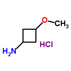 3-Methoxycyclobutanamine hydrochloride picture