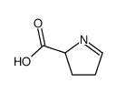 DL-1-Pyrroline-5-carboxylic Acid Structure