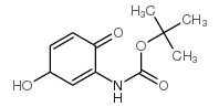 Carbamic acid, (3-hydroxy-6-oxo-1,4-cyclohexadien-1-yl)-, 1,1-dimethylethyl ester (9CI)结构式
