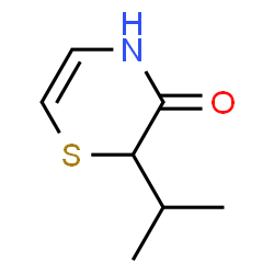 2H-1,4-Thiazin-3(4H)-one,2-(1-methylethyl)-(9CI)结构式