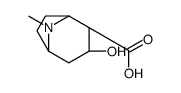 (1β,5β)-3β-Hydroxytropane-2α-carboxylic acid结构式