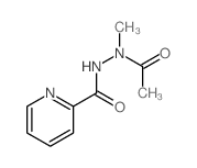 N-acetyl-N-methyl-pyridine-2-carbohydrazide Structure