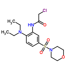 2-CHLORO-N-[2-DIETHYLAMINO-5-(MORPHOLINE-4-SULFONYL)-PHENYL]-ACETAMIDE picture