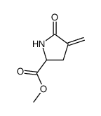 methyl (+/-)-4-methylene 5-oxo-pyrrolidin-2-carboxylate Structure