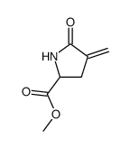 methyl (+/-)-4-methylene 5-oxo-pyrrolidin-2-carboxylate结构式