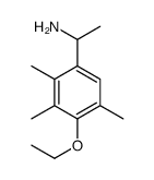 Benzenemethanamine, 4-ethoxy-alpha,2,3,5-tetramethyl- (9CI)结构式