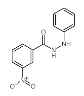 3-nitro-N-phenyl-benzohydrazide Structure