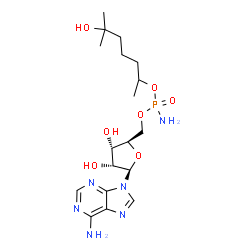 Adenosine 5'-[phosporamidic acid (5-hydroxy-1,5-dimethylhexyl)] ester Structure