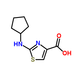 2-(Cyclopentylamino)-1,3-thiazole-4-carboxylic acid结构式