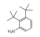 2,3-ditert-butylaniline结构式