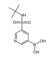 B-[5-[[(1,1-dimethylethyl)amino]sulfonyl]-3-pyridinyl]Boronic acid structure