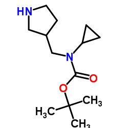 2-Methyl-2-propanyl cyclopropyl(3-pyrrolidinylmethyl)carbamate Structure