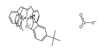 [(6-Me3-TPA)FeII(4-tBu-HAP)](ClO4) Structure