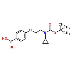 4-(2-(tert-butoxycarbonyl(cyclopropyl)amino)ethoxy)phenylboronic acid picture