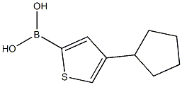4-(Cyclopentyl)thiophene-2-boronic acid结构式