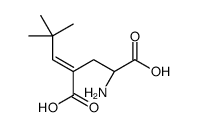 (2S)-2-amino-4-(2,2-dimethylpropylidene)pentanedioic acid Structure