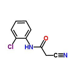 N-(2-Chlorophenyl)-2-cyanoacetamide structure