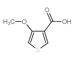 4-甲氧基噻吩-3-羧酸图片