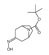 3-(HYDROXYIMINO)-8-AZABICYCLO[3.2.1]OCTANE-8-CARBOXYLICACID1,1-DIMETHYLETHYLESTER Structure