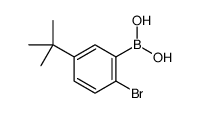 (2-bromo-5-tert-butylphenyl)boronic acid结构式