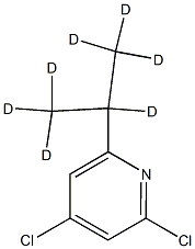 2,4-Dichloro-6-(iso-propyl-d7)-pyridine结构式