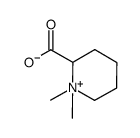 (2S)-1,1-dimethyl-2,3,4,5-tetrahydropyrrole-2-carboxylate结构式
