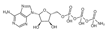 ATP-gamma amidate Structure