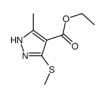 ethyl 5-methyl-3-methylsulfanyl-1H-pyrazole-4-carboxylate结构式