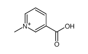 1-methylpyridin-1-ium-3-carboxylic acid Structure